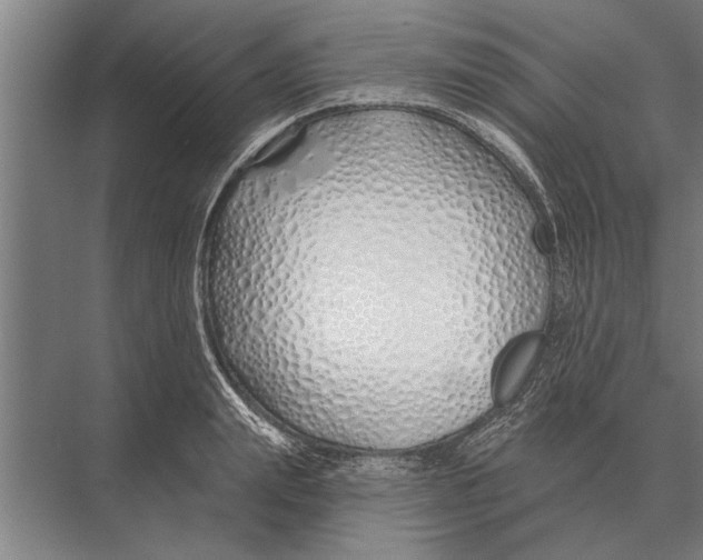 X0000075400847200610061929