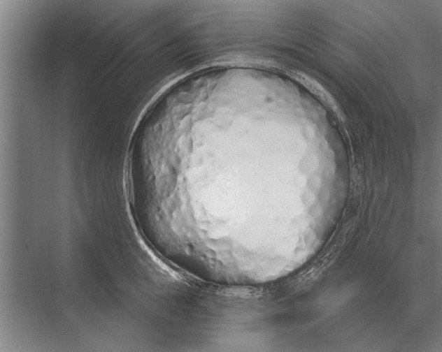 X0000075400855200610061929