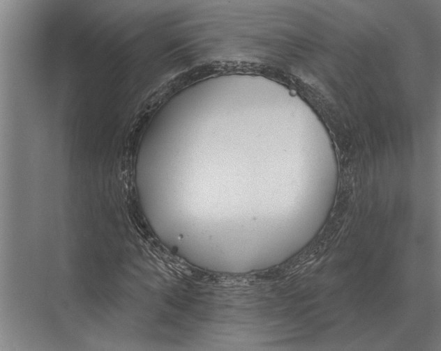 X0000075400870200610061928