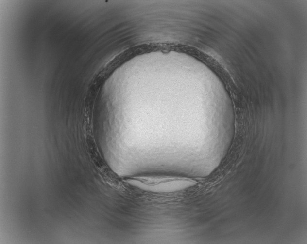 X0000075400871200610061928
