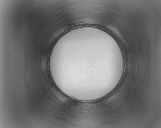 X0000075400873200610061928