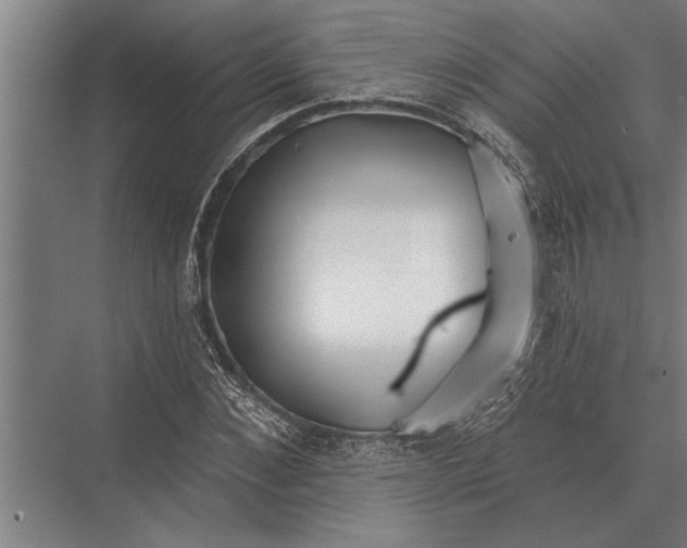 X0000075400876200610061928