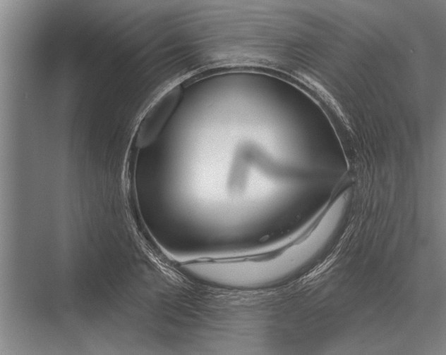 X0000075400885200610061928
