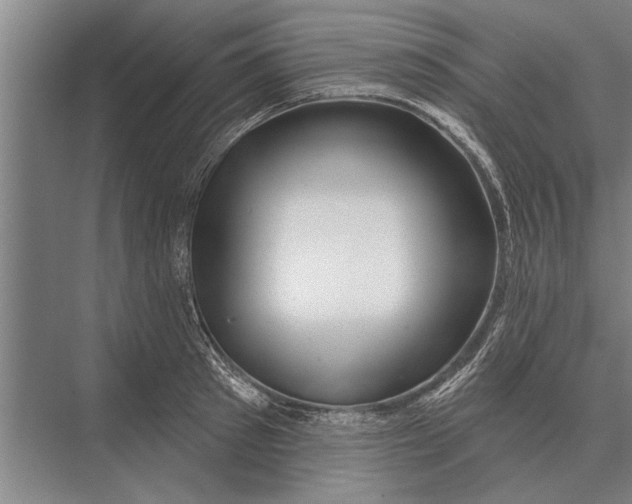 X0000075400897200610061928