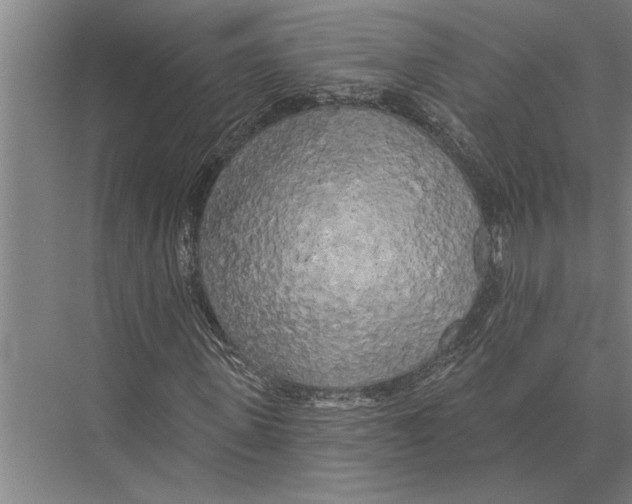 X0000075400915200610061927