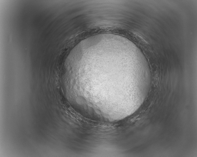 X0000075400917200610061927