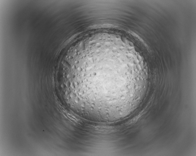 X0000075400921200610061927