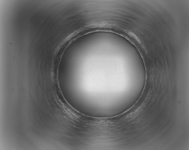 X0000075400922200610061927