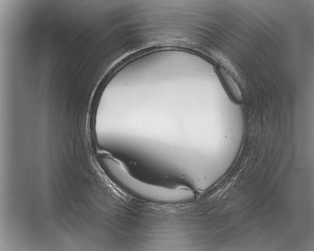 X0000075400932200610061927