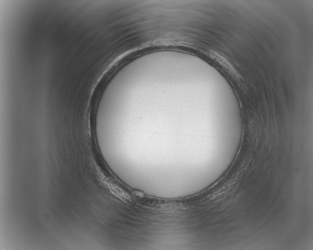 X0000075400934200610061927