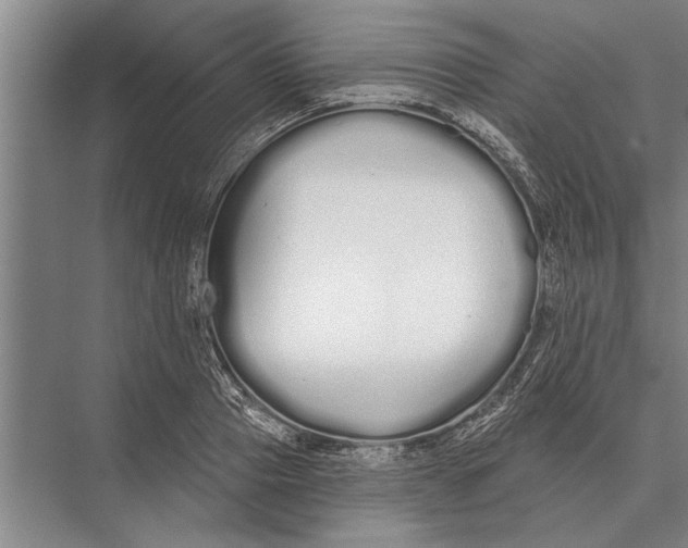 X0000075400937200610061927
