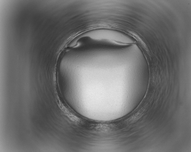 X0000075400938200610061927