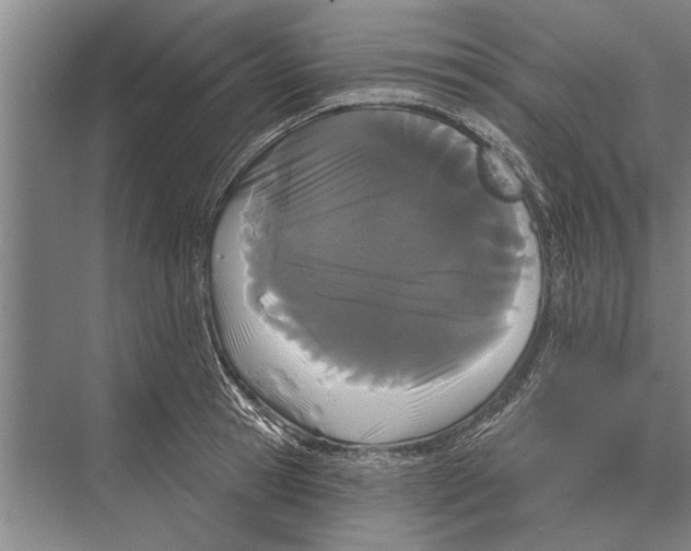 X0000075400945200610061927