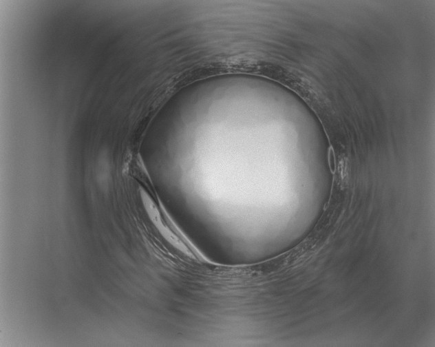 X0000075400963200610061927