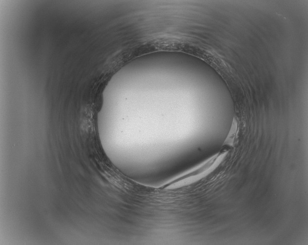 X0000075400964200610061926