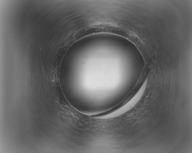 X0000075400965200610061926