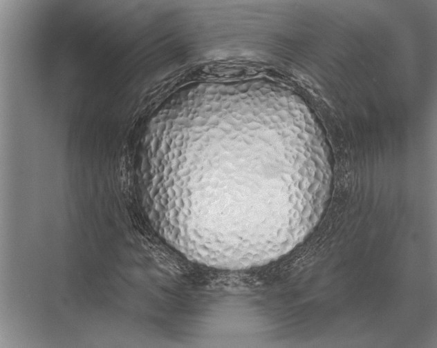 X0000075400966200610061926