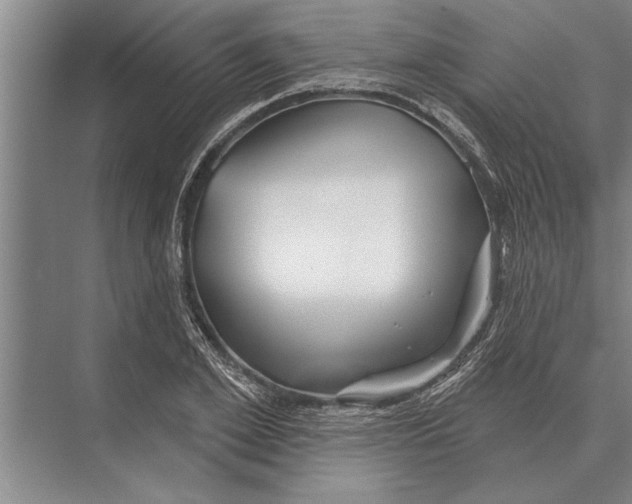 X0000075400981200610061926