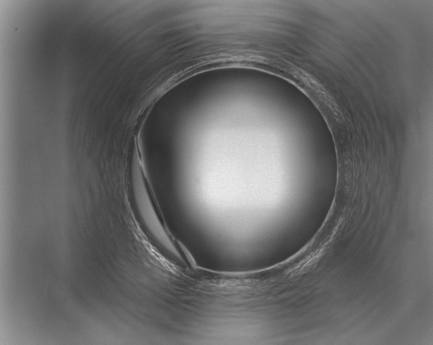 X0000075400985200610061926