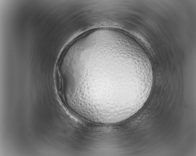 X0000075400990200610061926