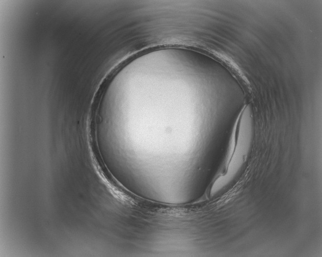 X0000075400991200610061926