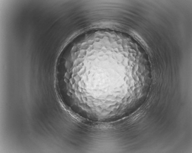 X0000075400994200610061926