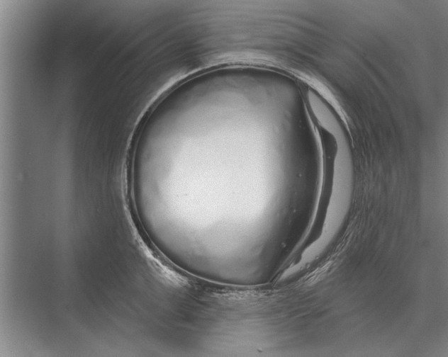 X0000075400999200610061926