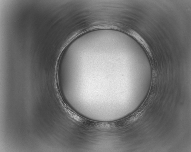 X0000075401002200610061926