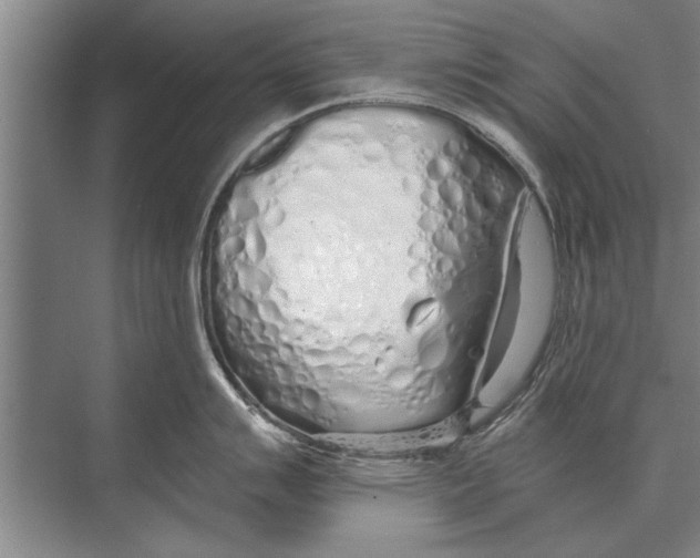 X0000075401007200610061926