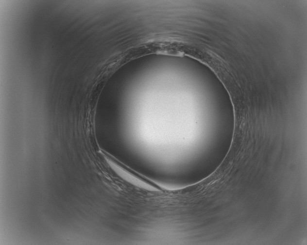X0000075401014200610061925