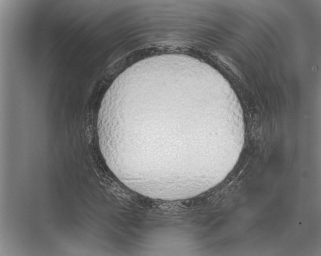 X0000075401015200610061925