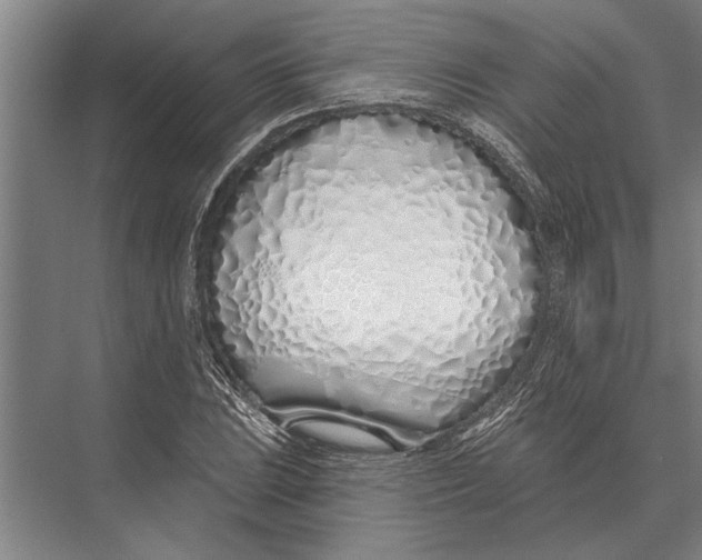 X0000075401023200610061925