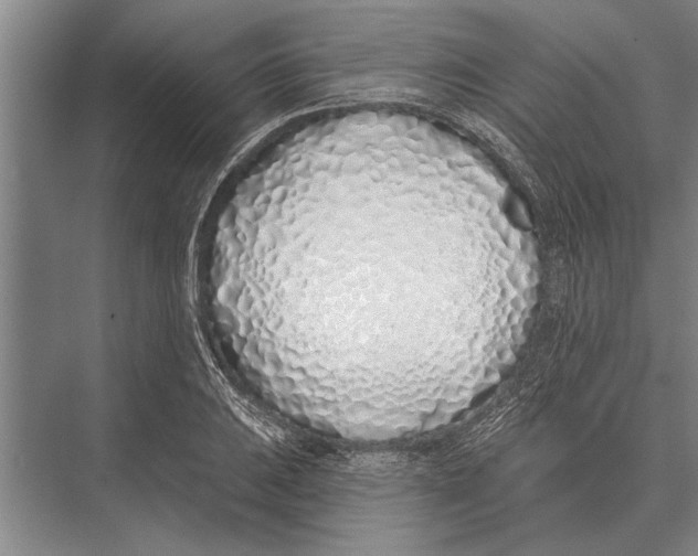 X0000075401031200610061925