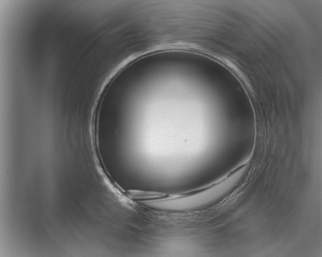 X0000075401054200610061926