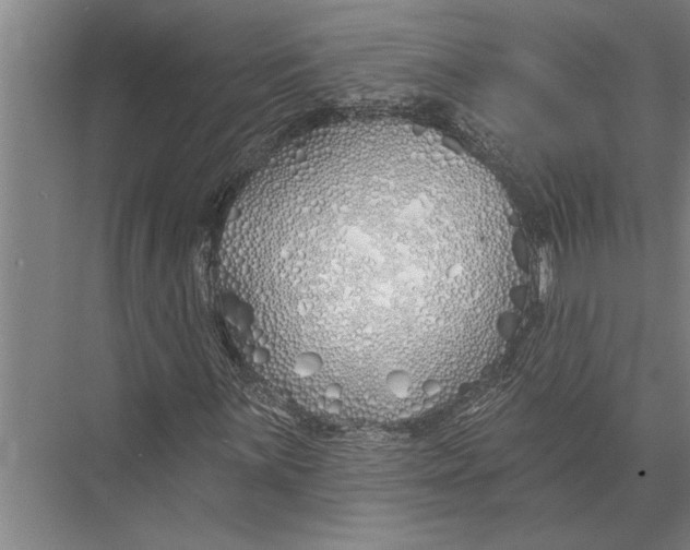 X0000075401059200610061925