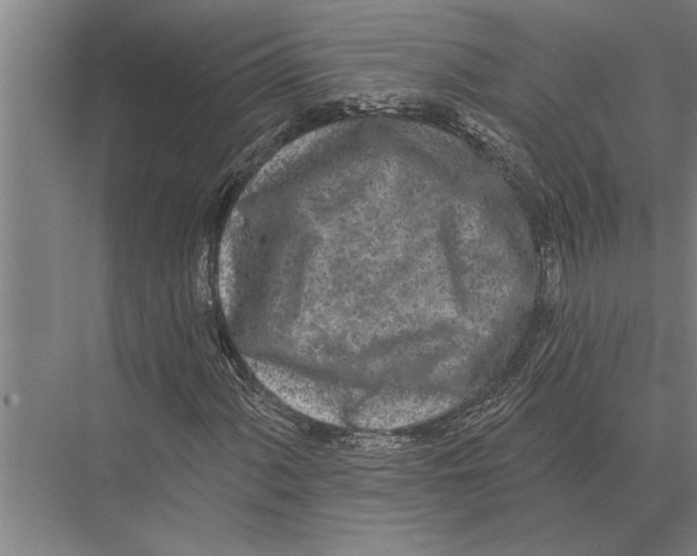 X0000075401060200610061925