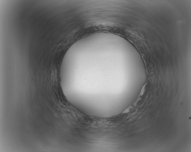 X0000075401061200610061925
