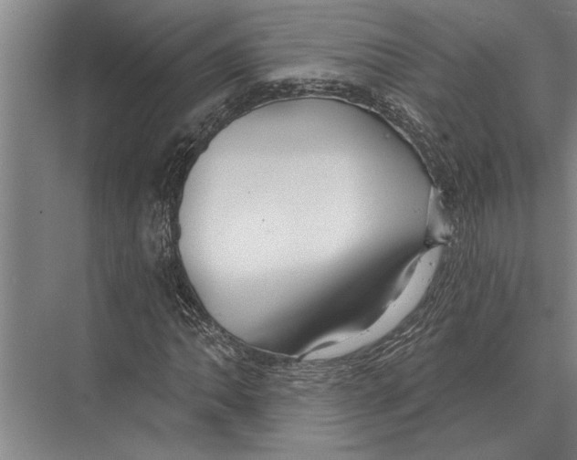 X0000075401062200610061925