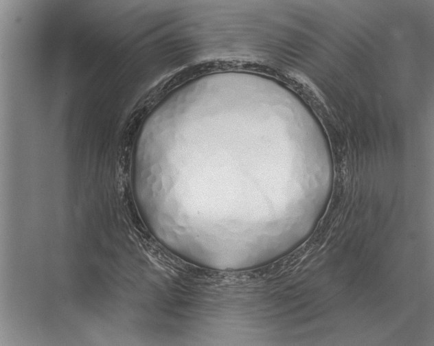 X0000075401064200610061925