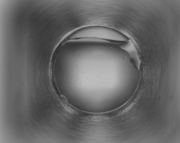 X0000075401077200610061925