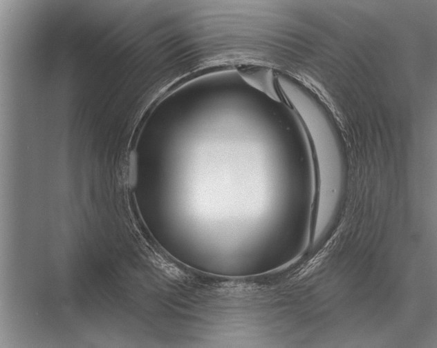 X0000075401081200610061925