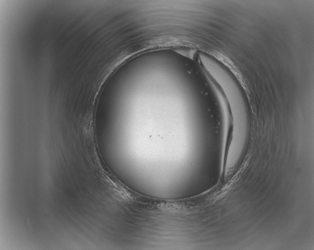 X0000075401089200610061924