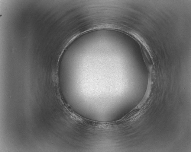 X0000075401097200610061924
