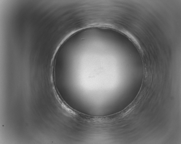 X0000075401102200610061924