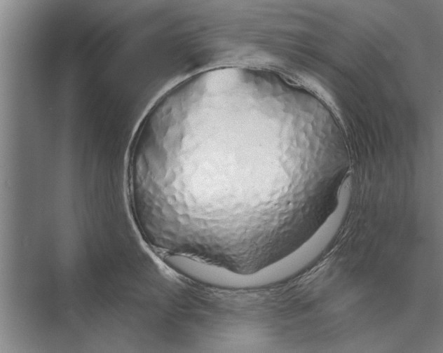 X0000075401103200610061924