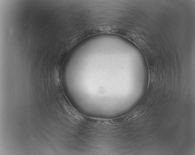 X0000075401106200610061923