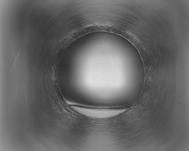 X0000075401110200610061923
