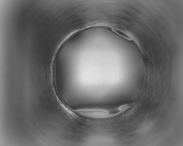 X0000075401151200610061924