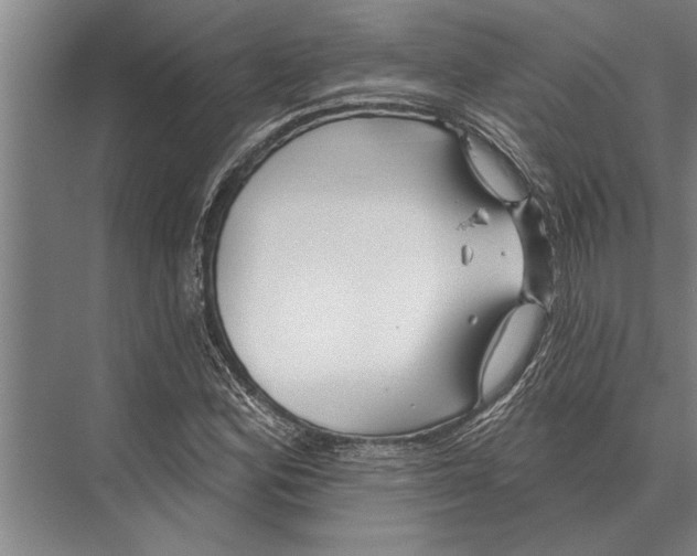 X0000075401164200610061923