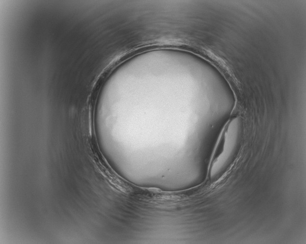 X0000075401171200610061923